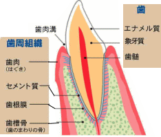 診療案内6